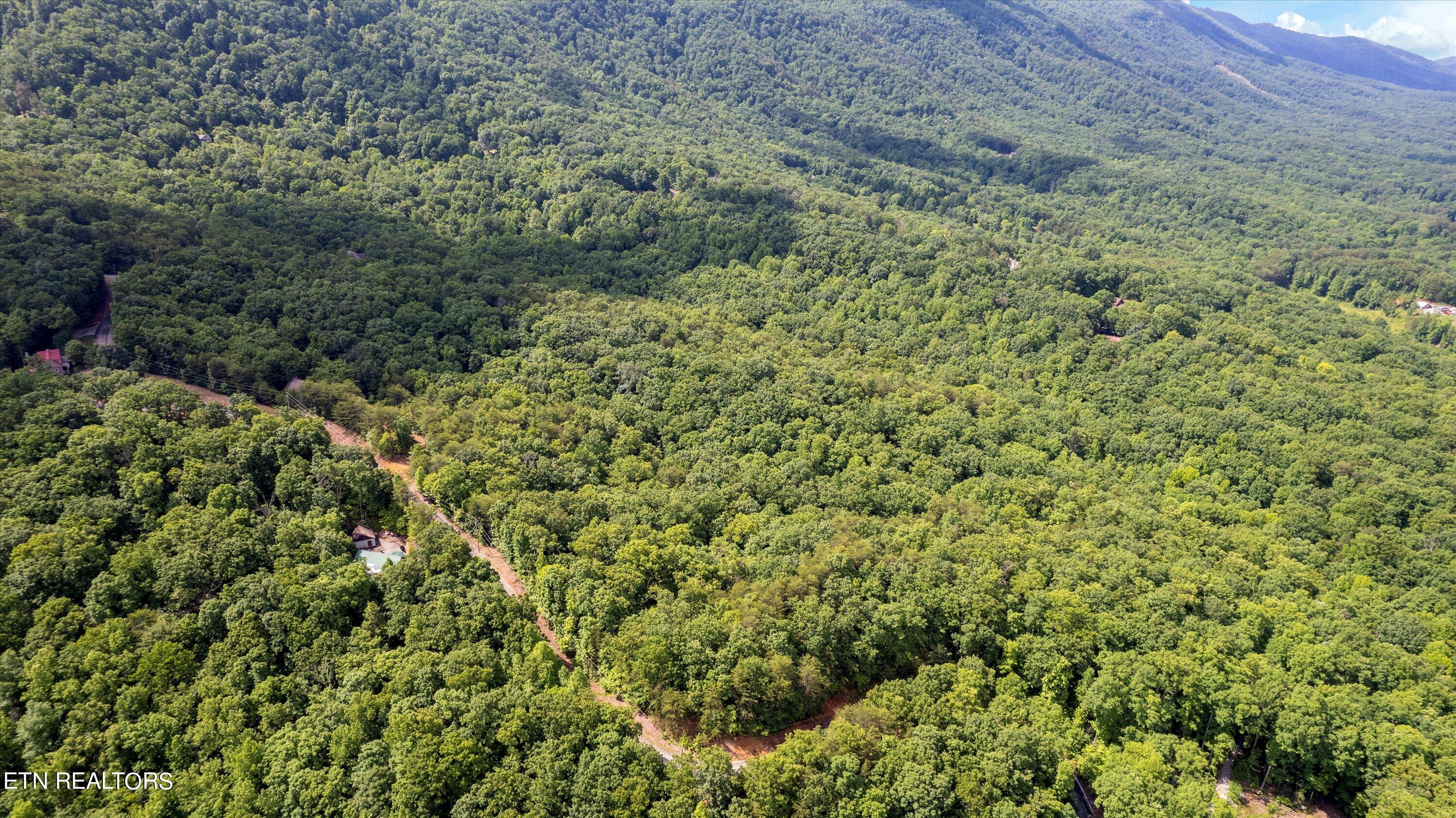 09-Buck Hollow Rd-12