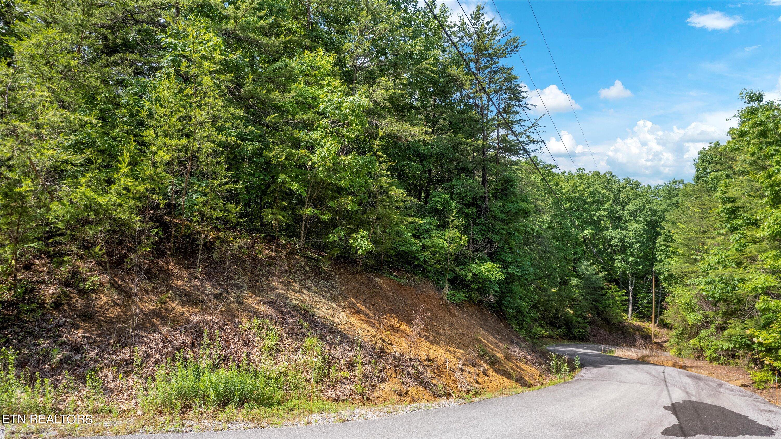 Lot 5 Buck Hollow Road Maryville, TN 37803 - Photo 11 of 14 01-Buck Hollow Rd-08