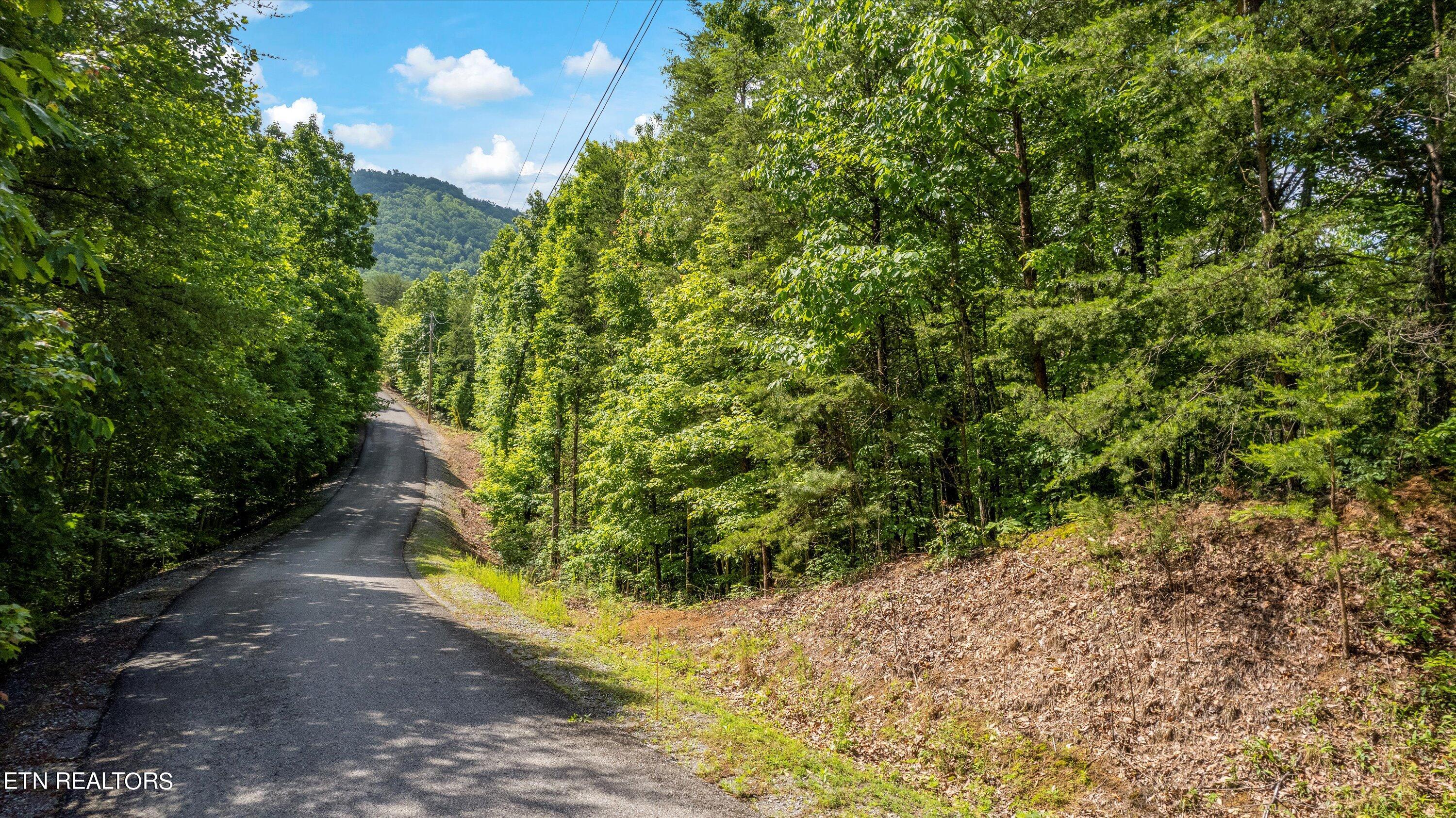 Lot 5 Buck Hollow Road Maryville, TN 37803 - Photo 12 of 14 02-Buck Hollow Rd-09