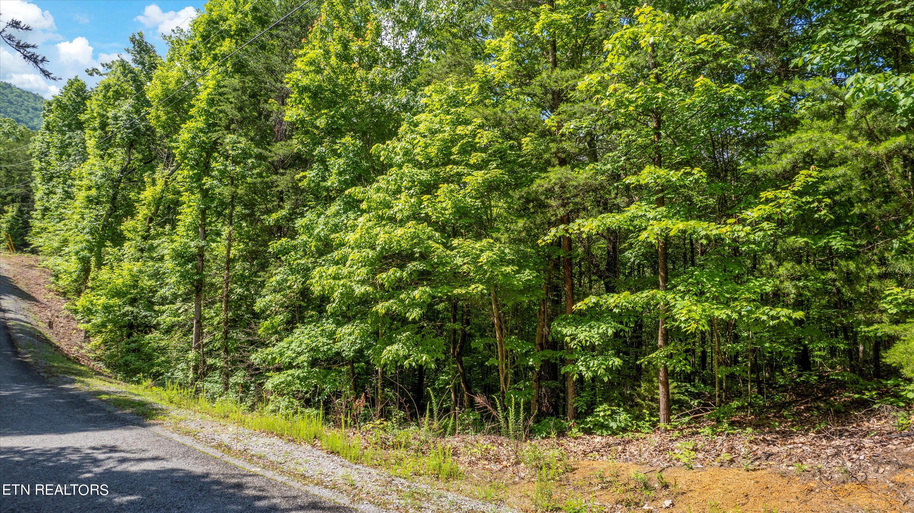 Lot 5 Buck Hollow Road Maryville, TN 37803 - Photo 14 of 14 04-Buck Hollow Rd-11