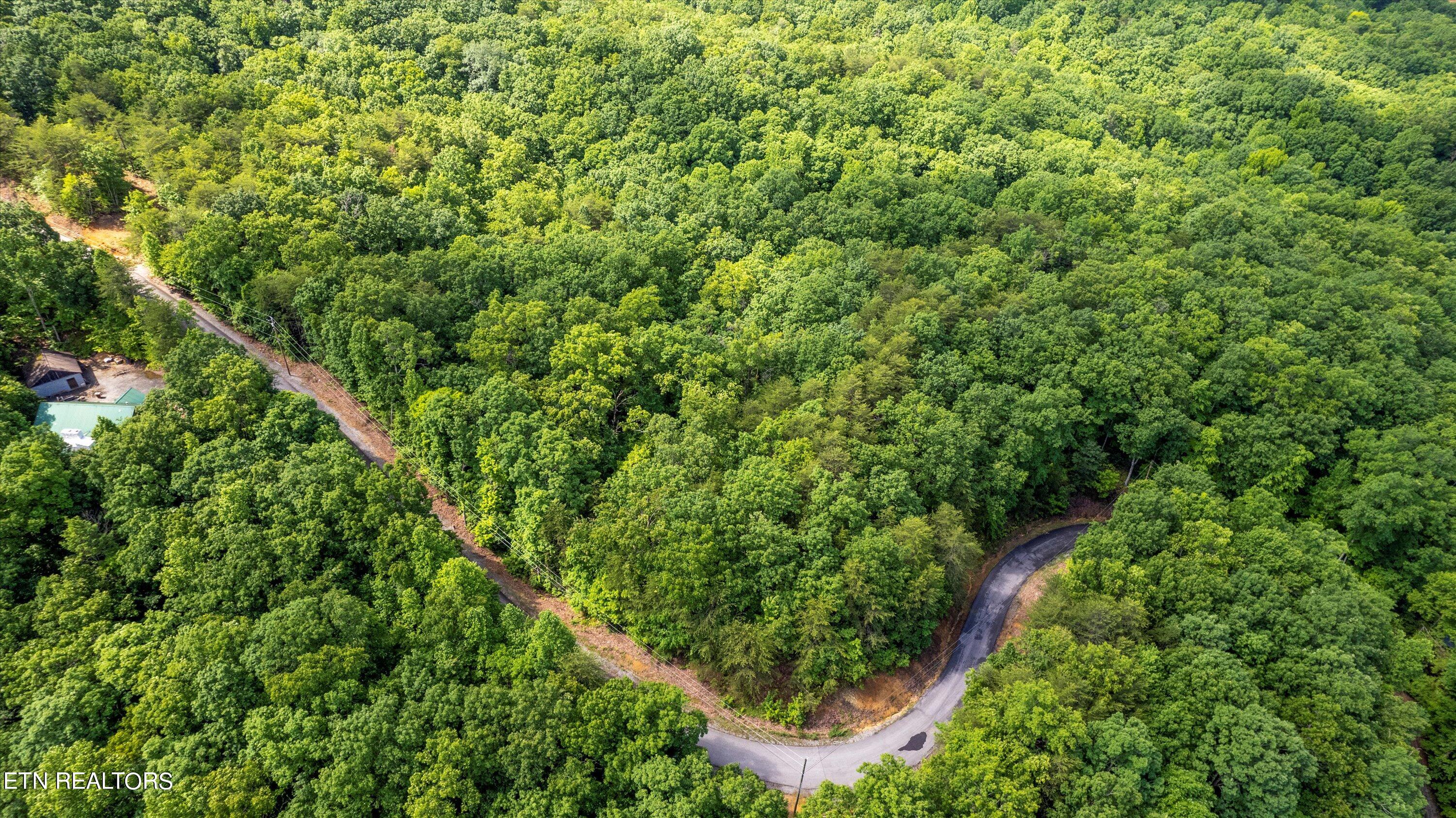 Lot 5 Buck Hollow Road Maryville, TN 37803 - Photo 3 of 14 07-Buck Hollow Rd-07