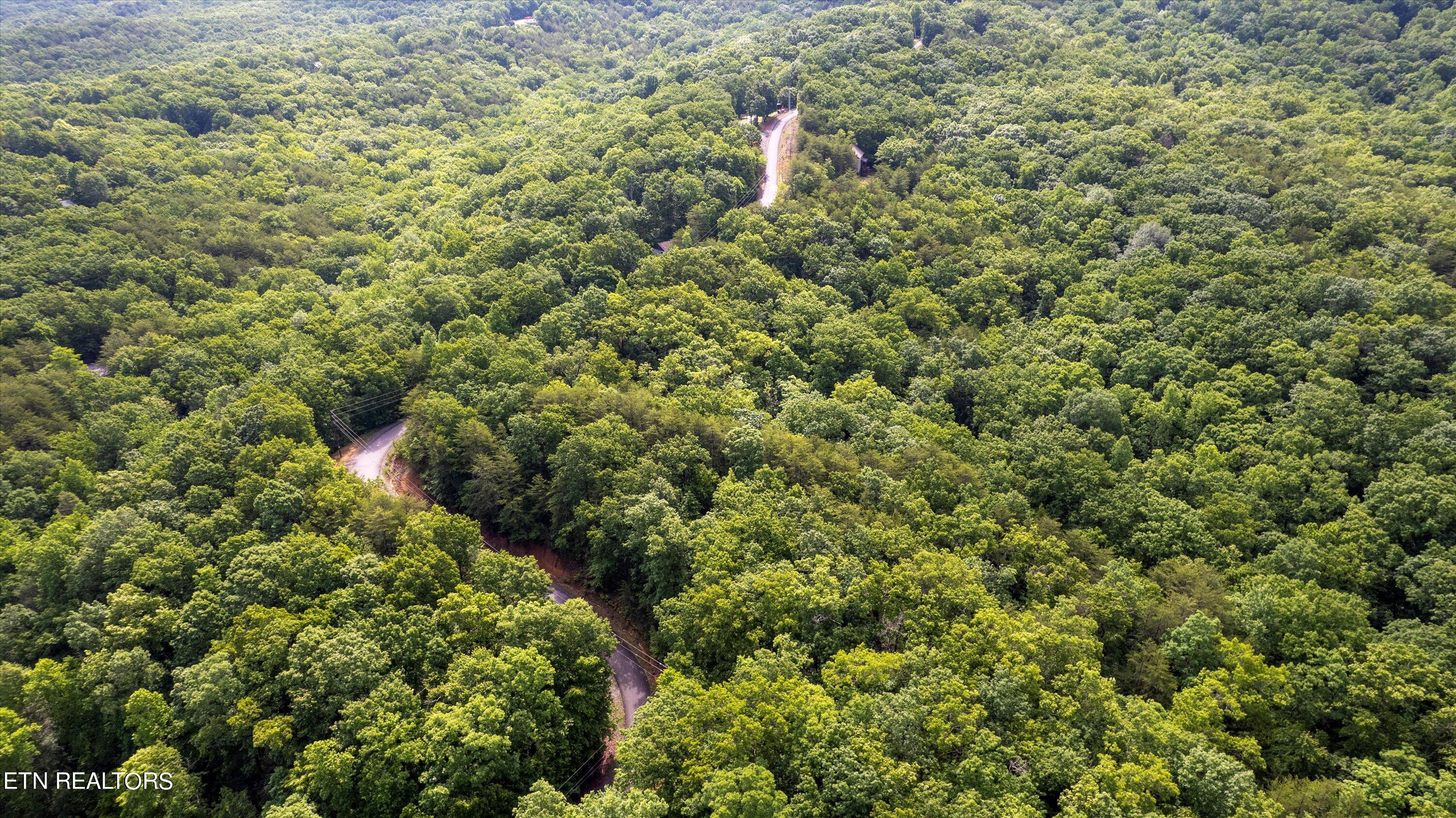 Lot 5 Buck Hollow Road Maryville, TN 37803 - Photo 4 of 14 05-Buck Hollow Rd-01