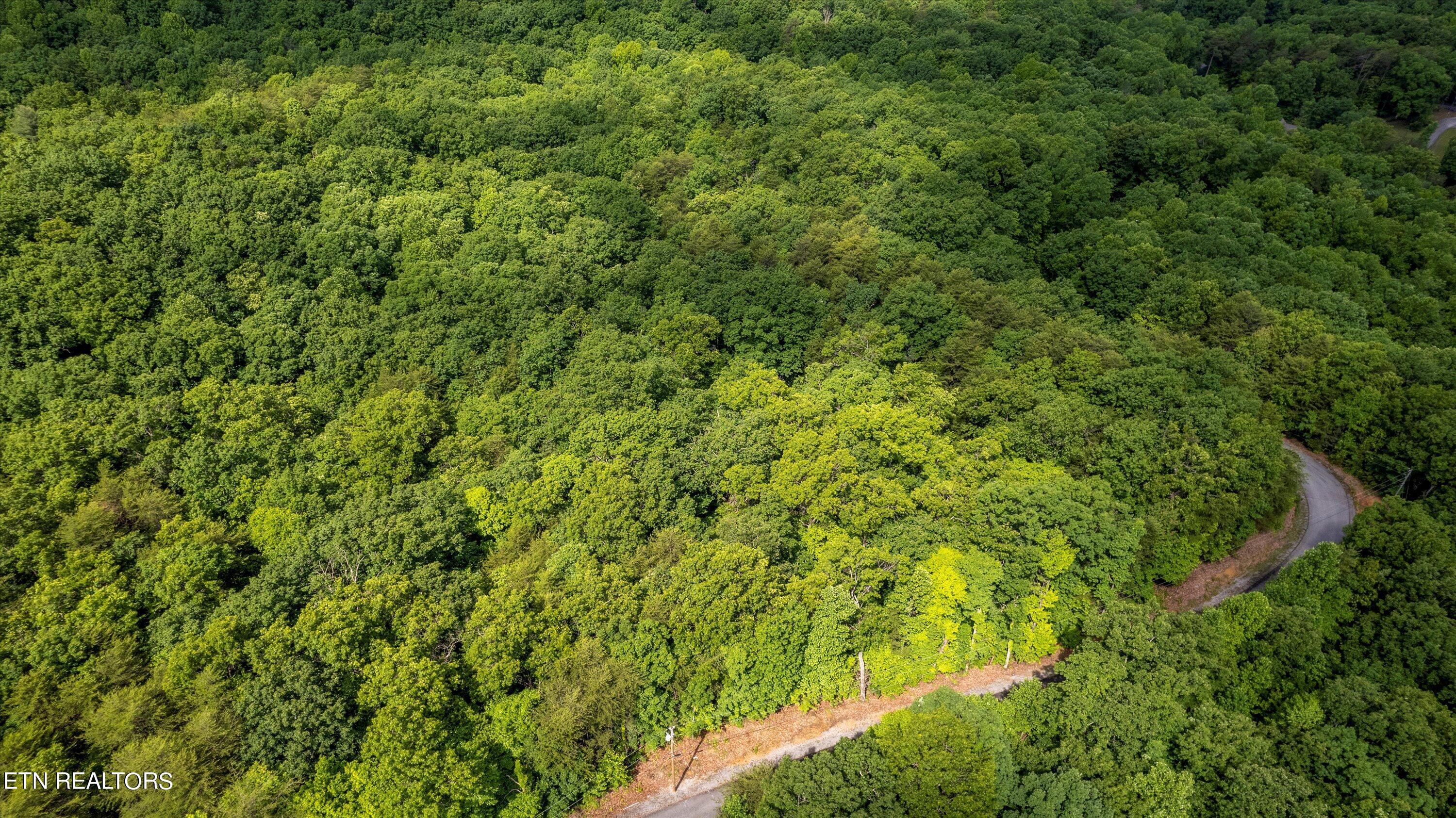 Lot 5 Buck Hollow Road Maryville, TN 37803 - Photo 5 of 14 06-Buck Hollow Rd-06