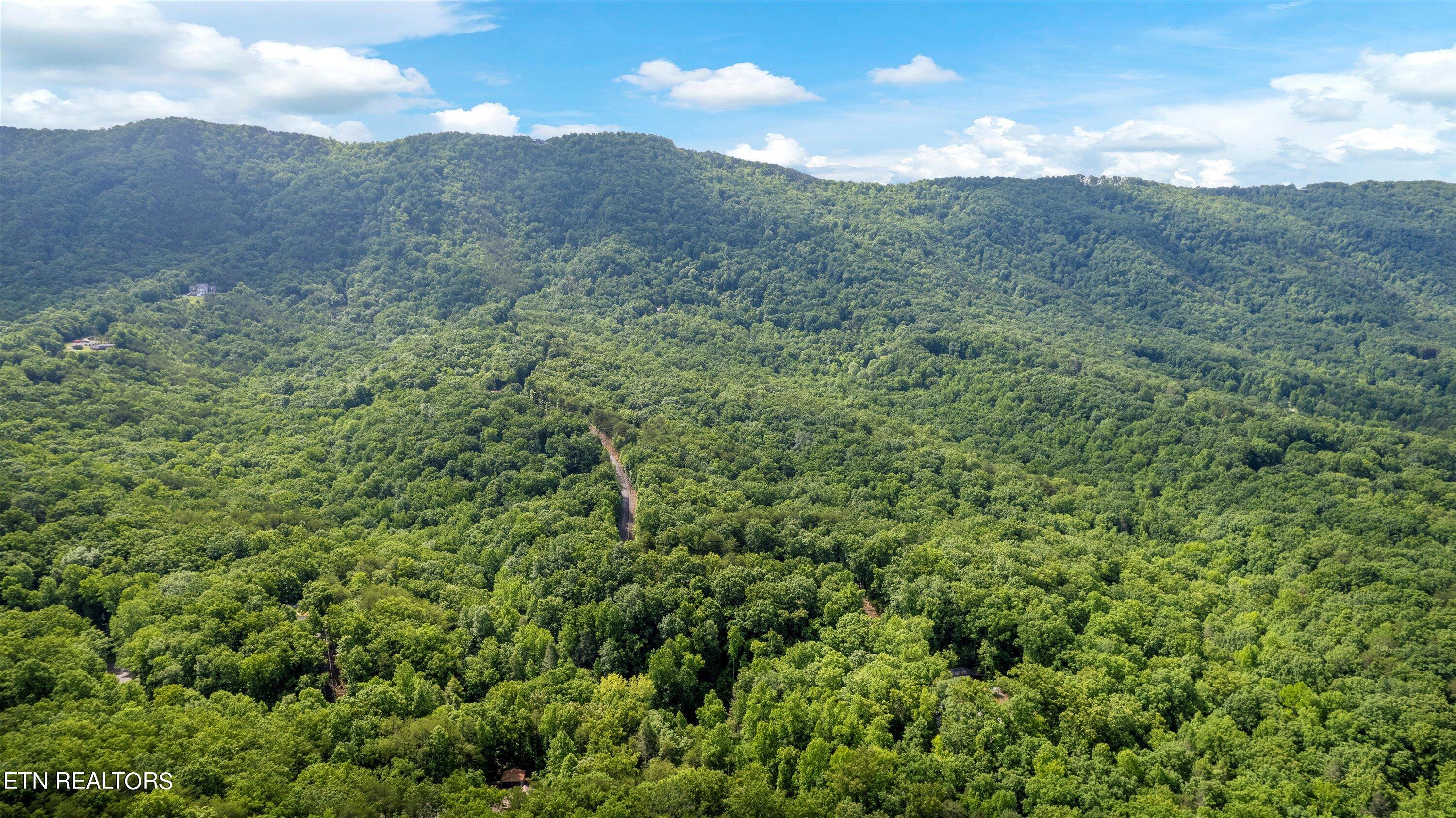 Lot 5 Buck Hollow Road Maryville, TN 37803 - Photo 8 of 14 12-Buck Hollow Rd-02
