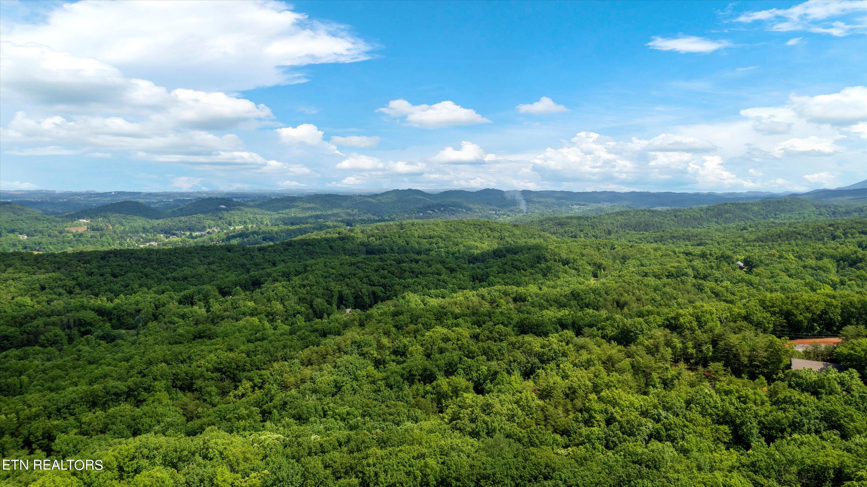 Lot 5 Buck Hollow Road Maryville, TN 37803 - Photo 10 of 14 14-Buck Hollow Rd-05