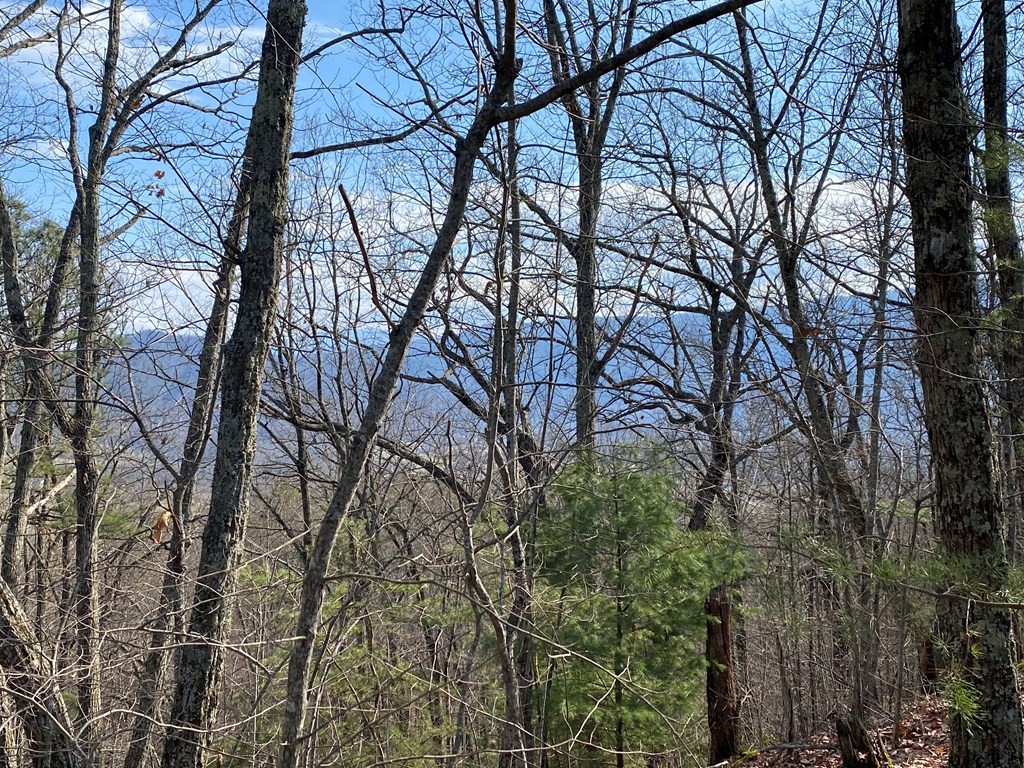 0 Spurling Road Sevierville, TN 37862 - Photo 3 of 4