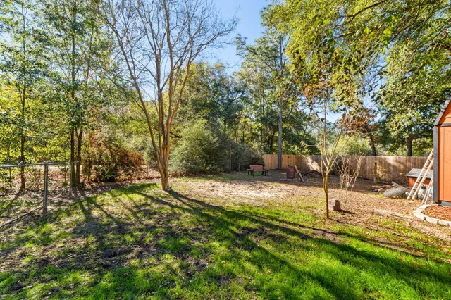 a view of a yard with plants and trees