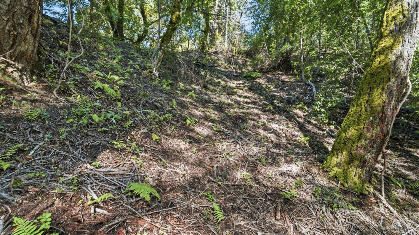360 Rincon Way Boulder Creek, CA 95006 - Photo 16 of 46