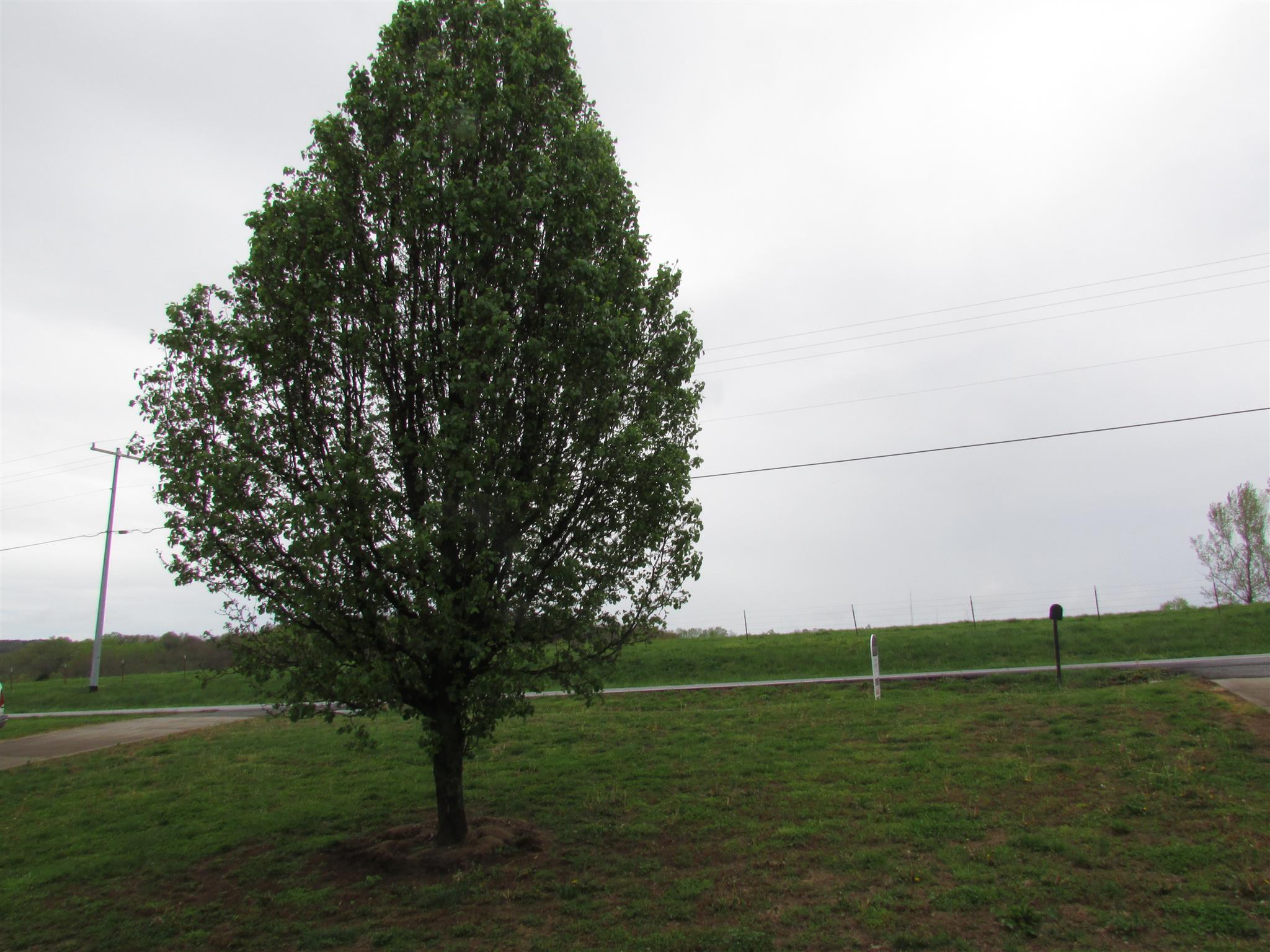 191 7 Mile Ferry Road Cunningham, TN 37052 - Photo 23 of 26 Gallery Image 23