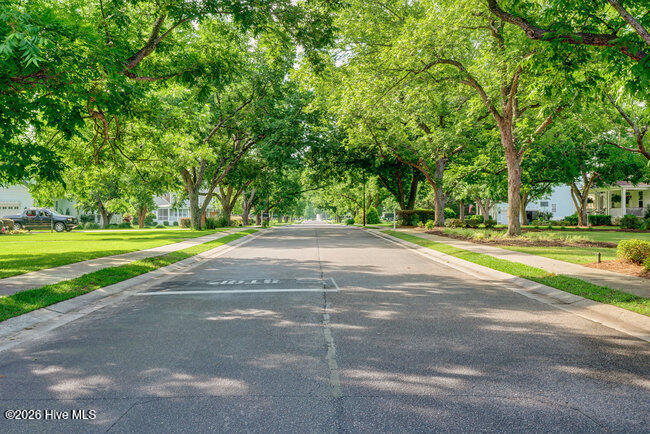 101 Cottage Walk Hampstead, NC 28443 - Photo 66 of 102 066_p8555764_65_66_67_68_69_70_853