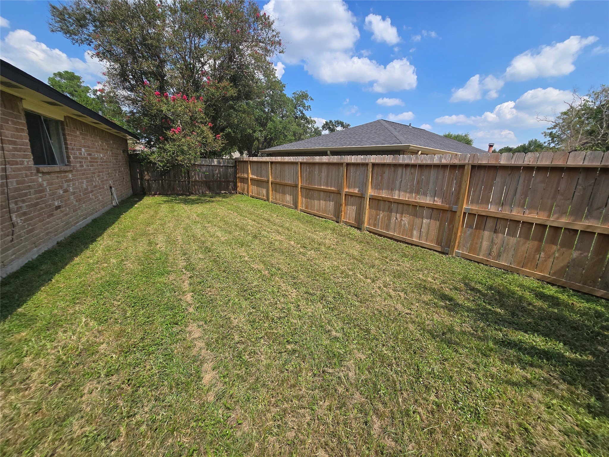 16331 Dew Drop Lane Houston, TX 77095 - Photo 17 of 20 a view of a backyard with a large tree
