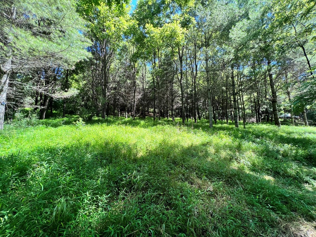 Tbd Nursery Road, Unit 8 9 10 Laurel Fork, VA 24352 - Photo 5 of 21 Gallery Image 5