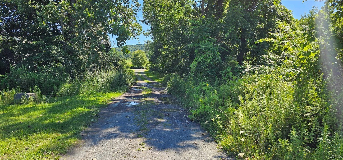 Ferguson Road Dryden, NY 13053 - Photo 6 of 19 Gallery Image 6