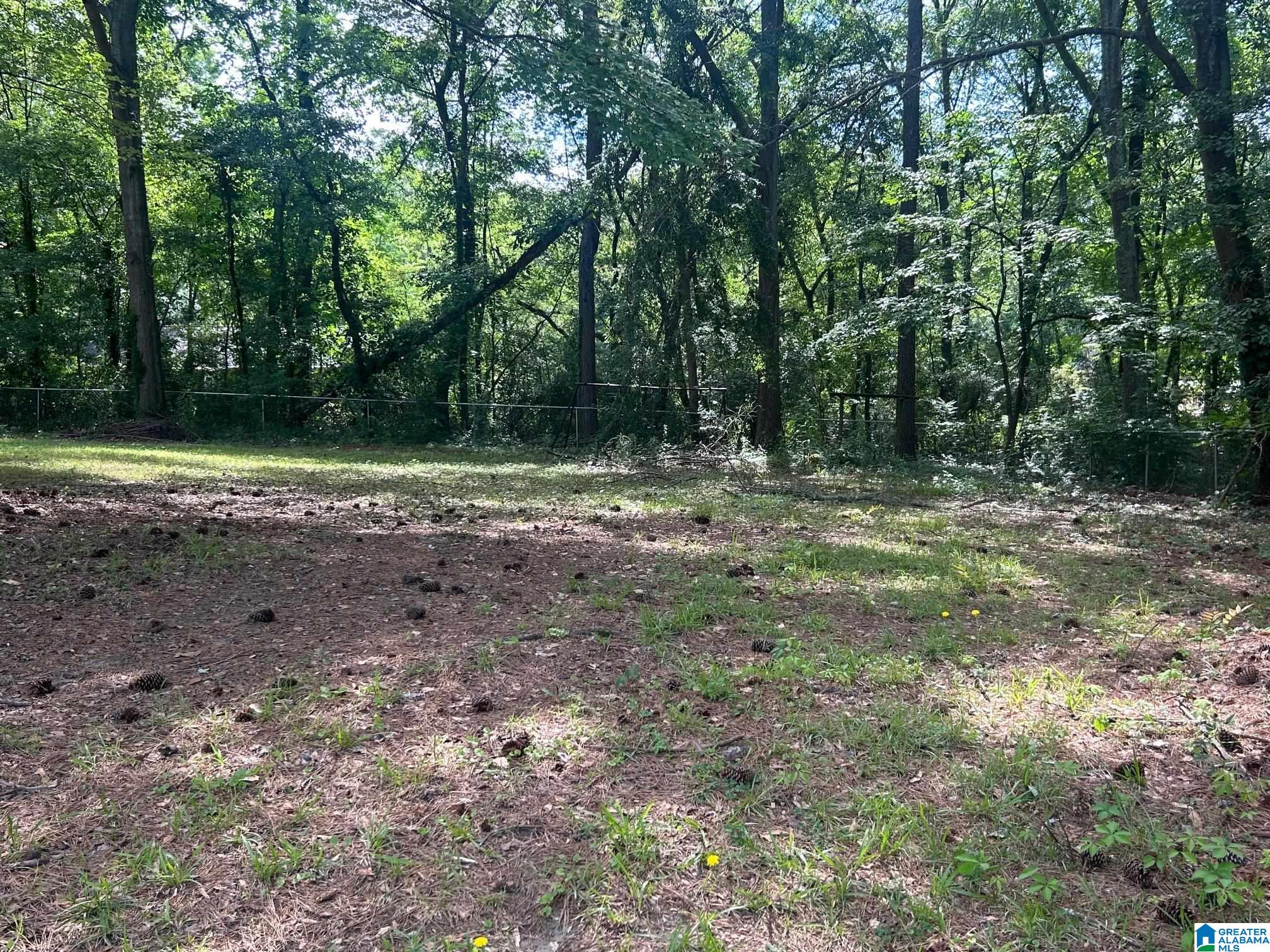2515 Simpson Street Anniston, AL 36201 - Photo 8 of 36