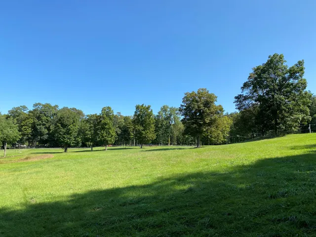 a view of a grassy field with trees in the background