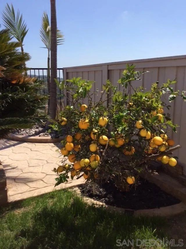 6243 Seacrest View Road San Diego, CA 92121 - Photo 54 of 59