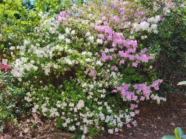 $779,000 | 1696 Harts Run, Atlanta, GA 30341