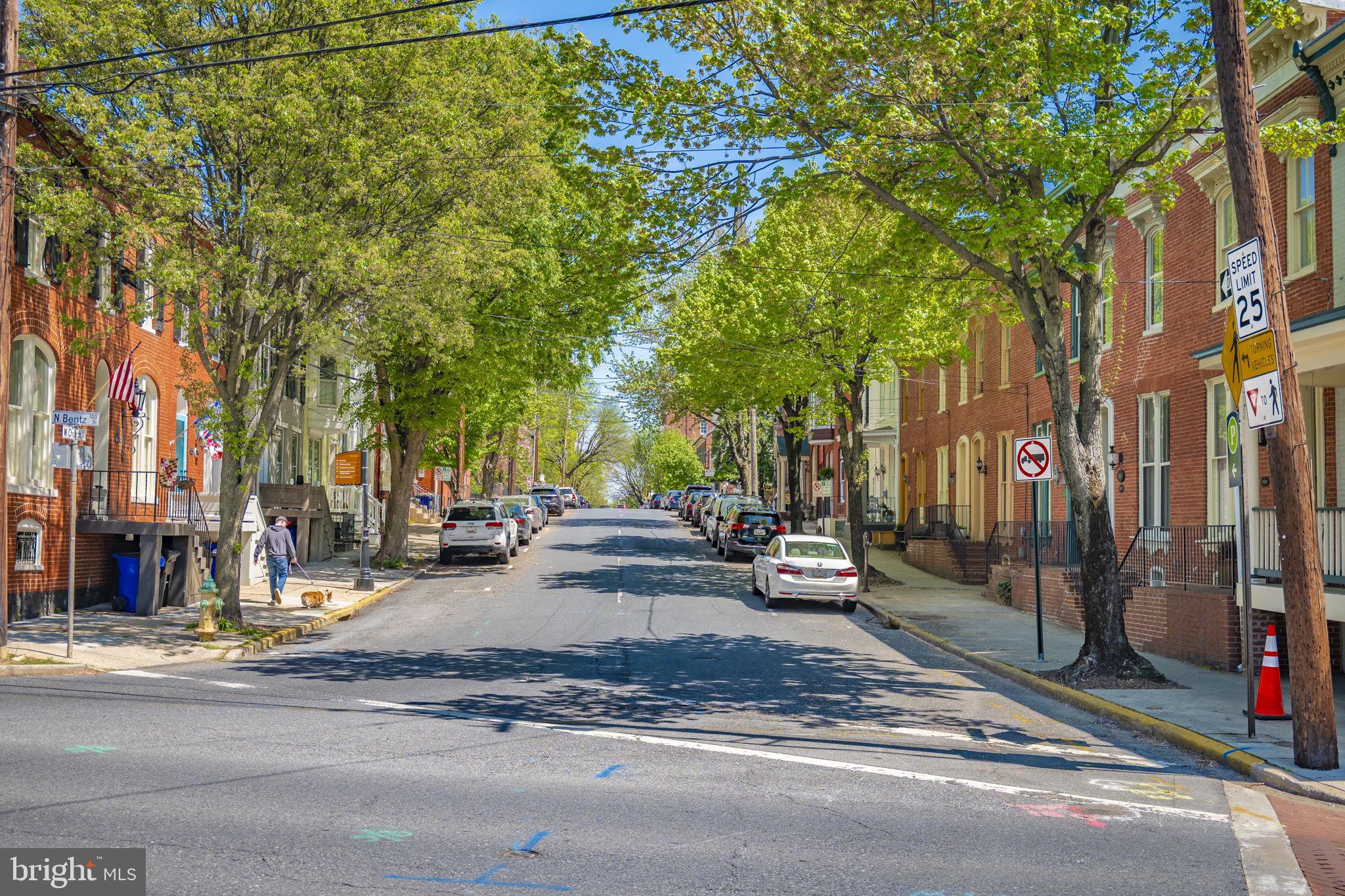 230 South Market Street, Unit 1 Frederick, MD 21701 - Photo 24 of 27 a view of street with a large tree