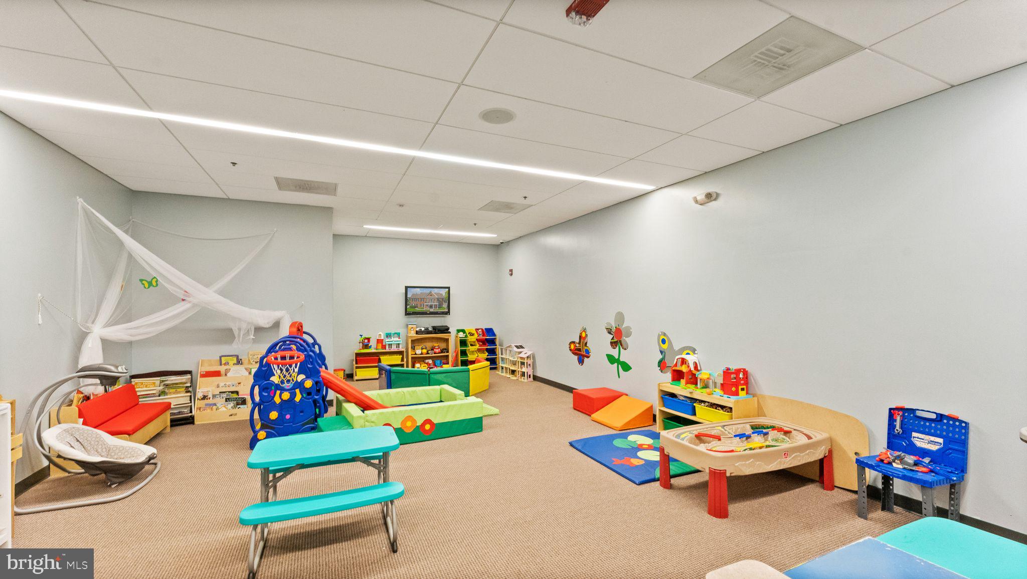 21070 Tyler Too Terrace Ashburn, VA 20147 - Photo 57 of 66 a play room with toys
