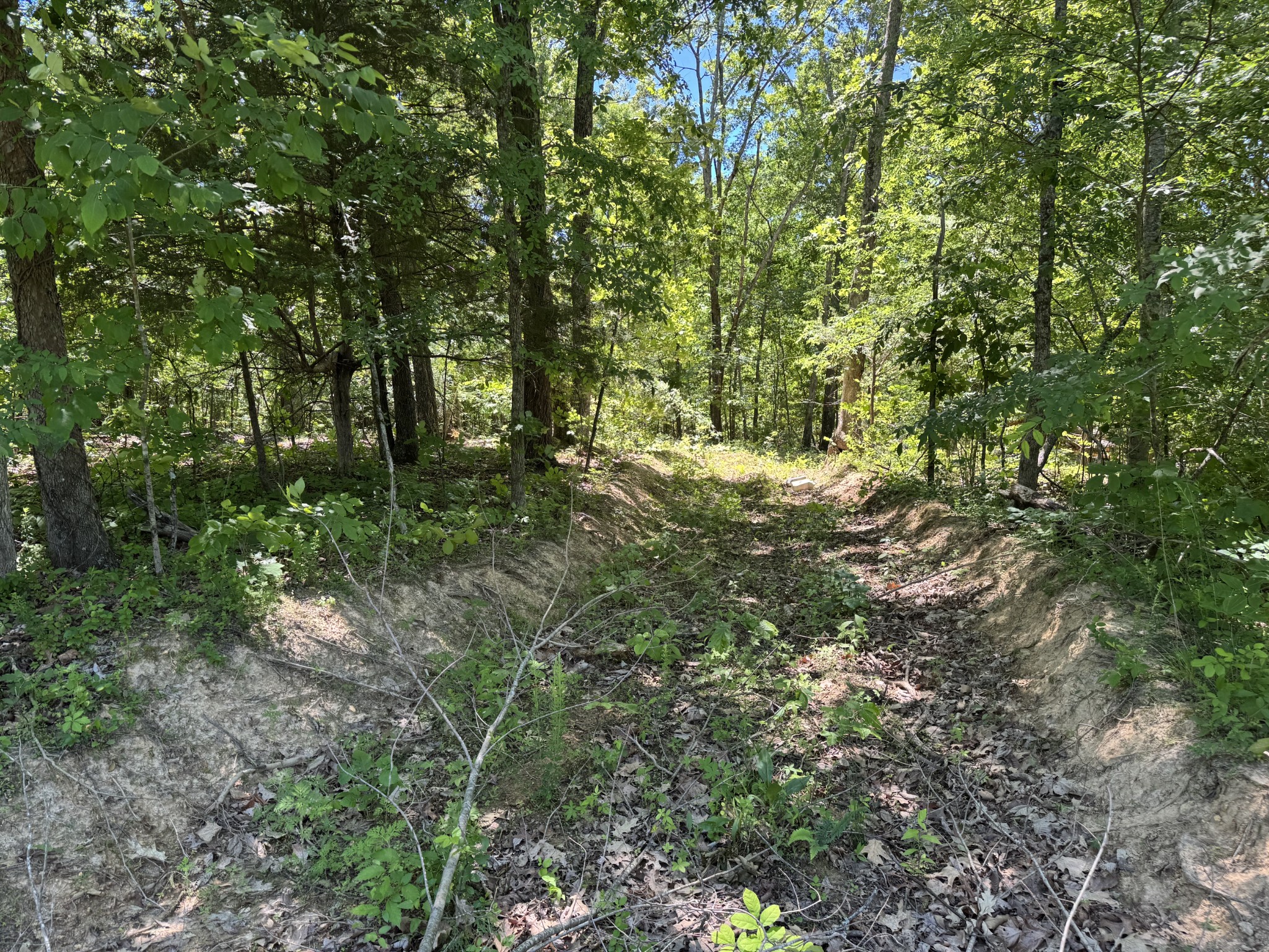 1402 Moore Lane Cunningham, TN 37052 - Photo 23 of 34
