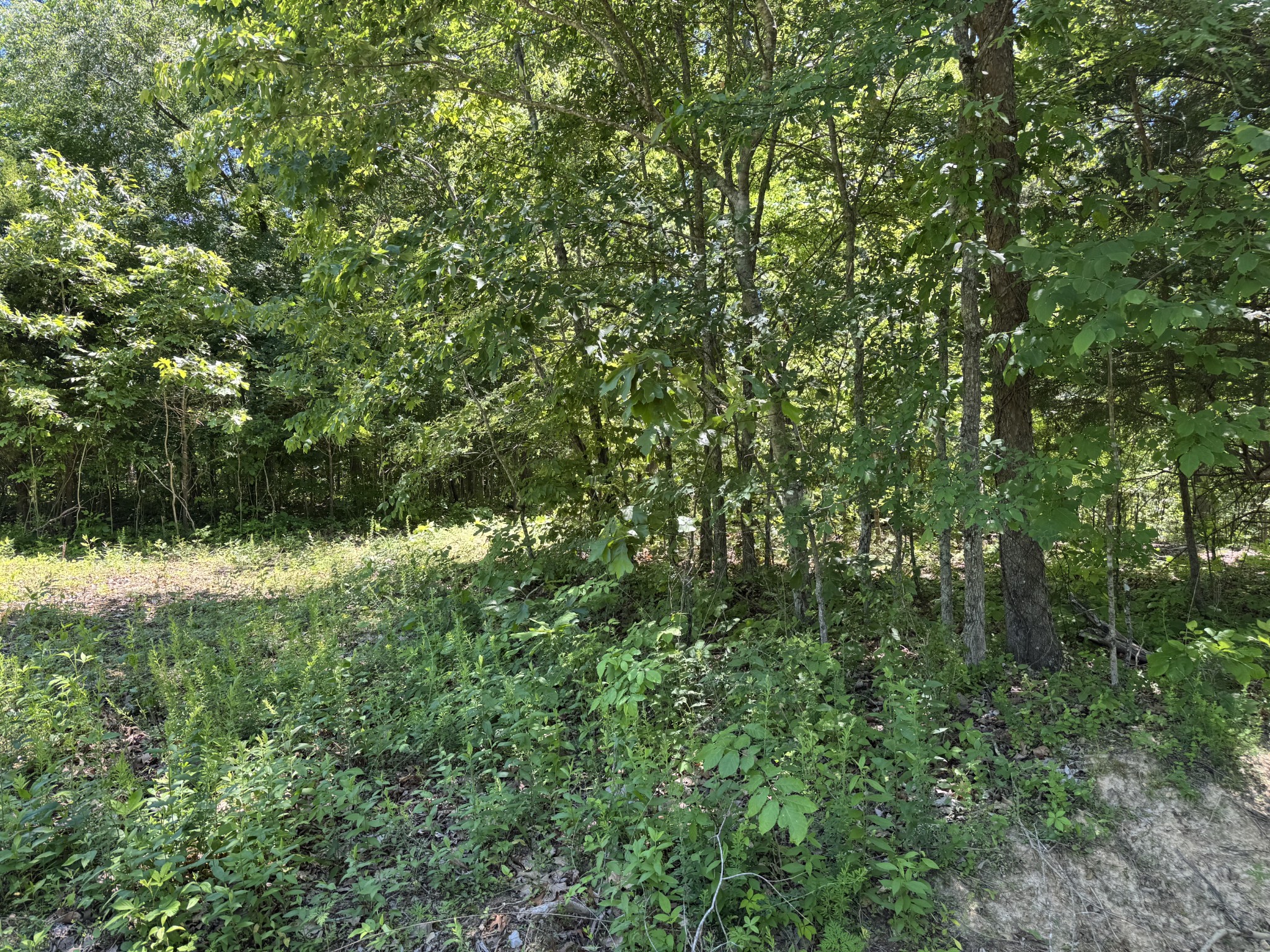 1402 Moore Lane Cunningham, TN 37052 - Photo 24 of 34
