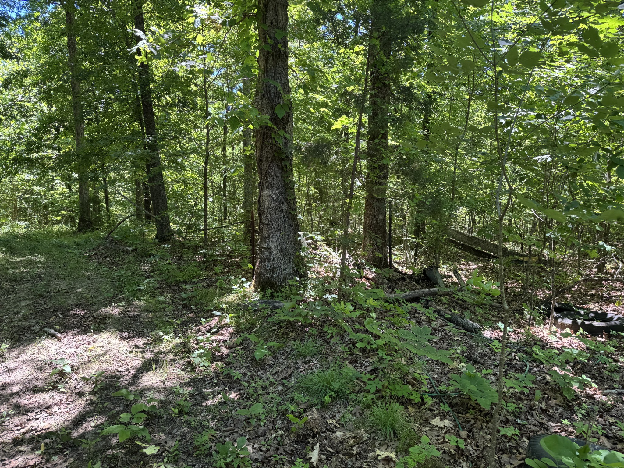 1402 Moore Lane Cunningham, TN 37052 - Photo 25 of 34