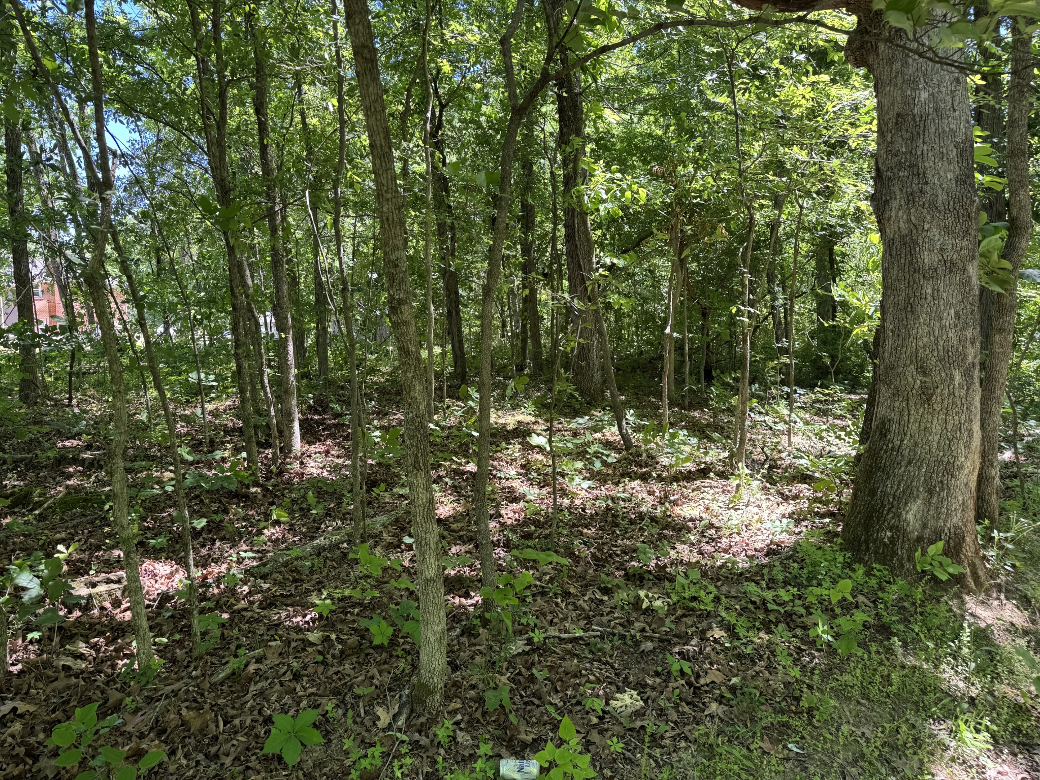 1402 Moore Lane Cunningham, TN 37052 - Photo 26 of 34