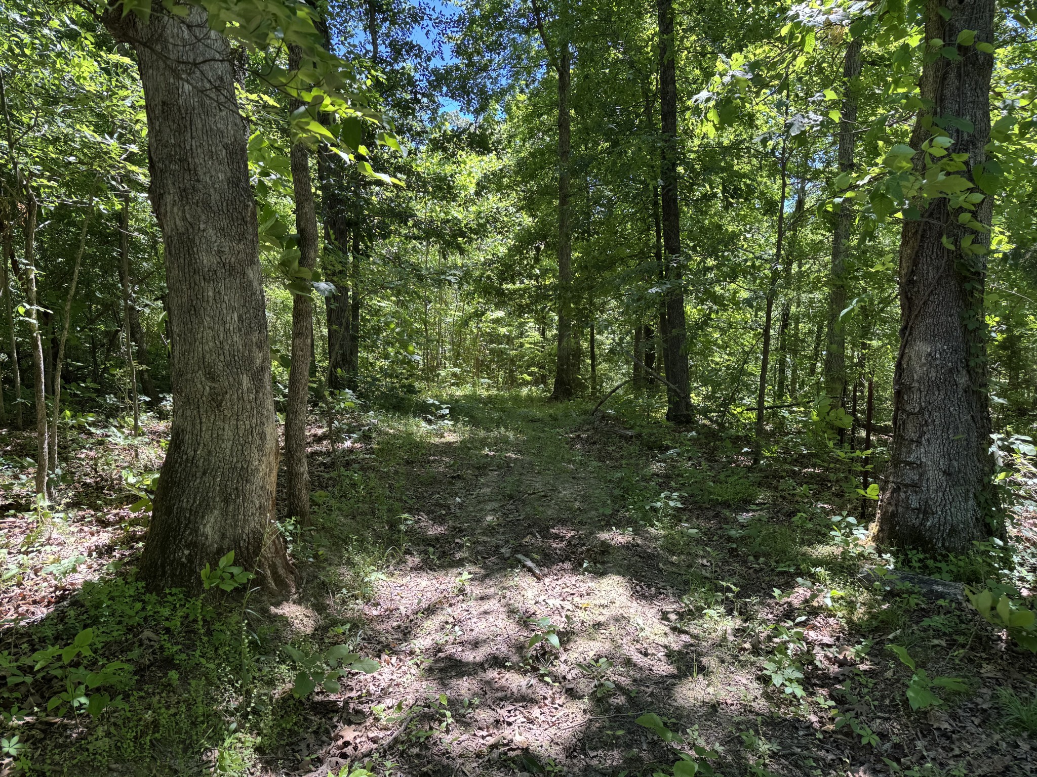 1402 Moore Lane Cunningham, TN 37052 - Photo 27 of 34