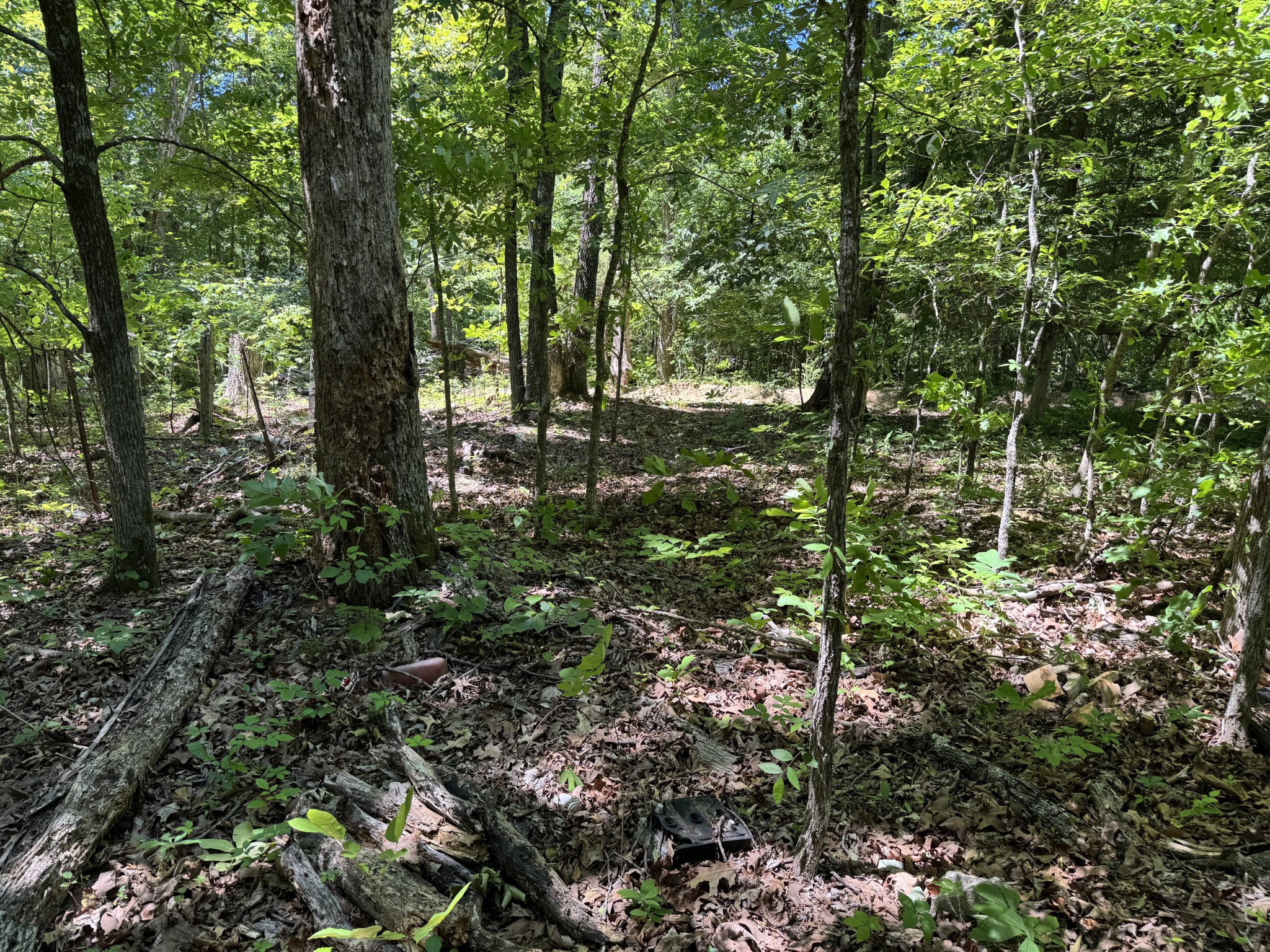 1402 Moore Lane Cunningham, TN 37052 - Photo 28 of 34