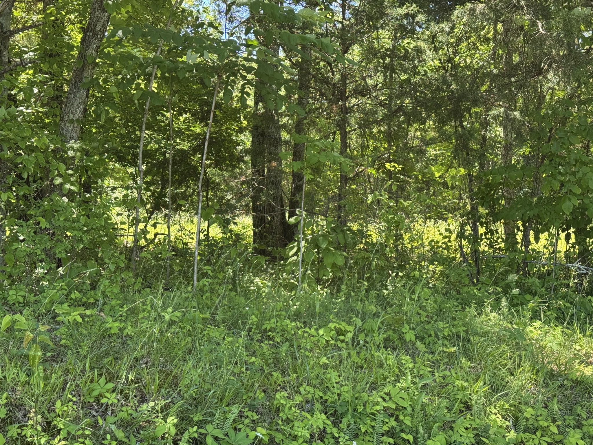 1402 Moore Lane Cunningham, TN 37052 - Photo 30 of 34