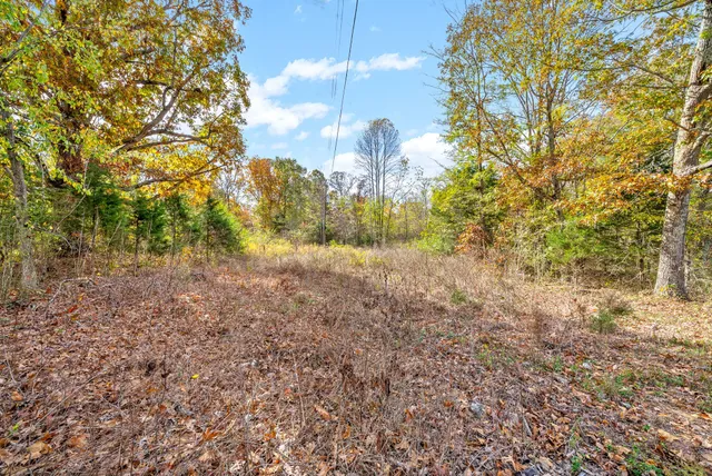 $640,000 | 1402 Moore Lane, Cunningham, TN 37052