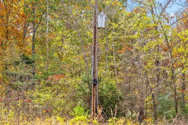 $640,000 | 1402 Moore Lane, Cunningham, TN 37052