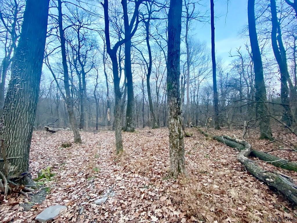 Lot 168 Alpine Road, Unit 168 Boswell, PA 15531 - Photo 5 of 6 Gallery Image 5