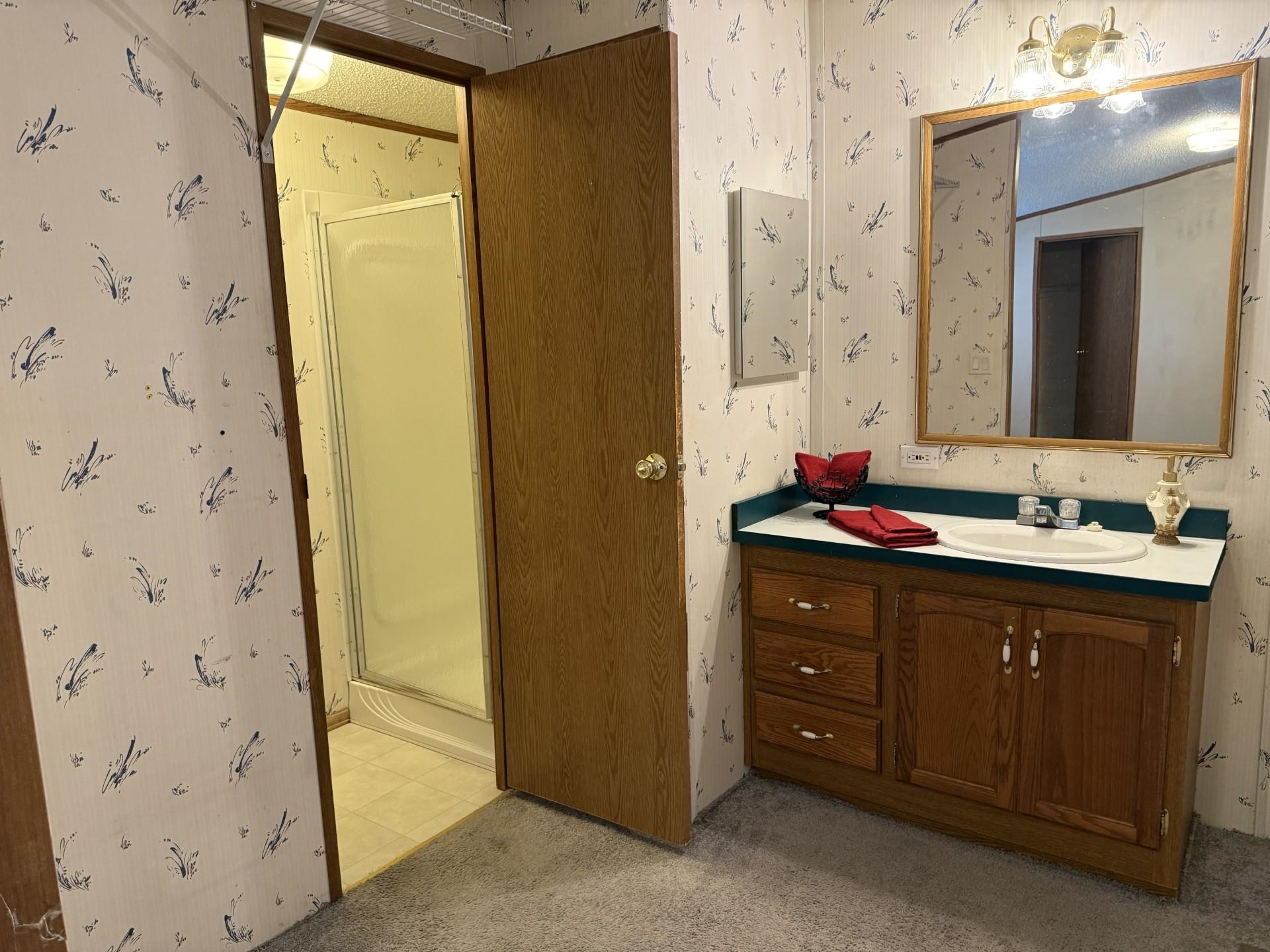 435 32 Road, Unit 227 Clifton, CO 81520 - Photo 12 of 15 a bathroom with a sink mirror and a shower