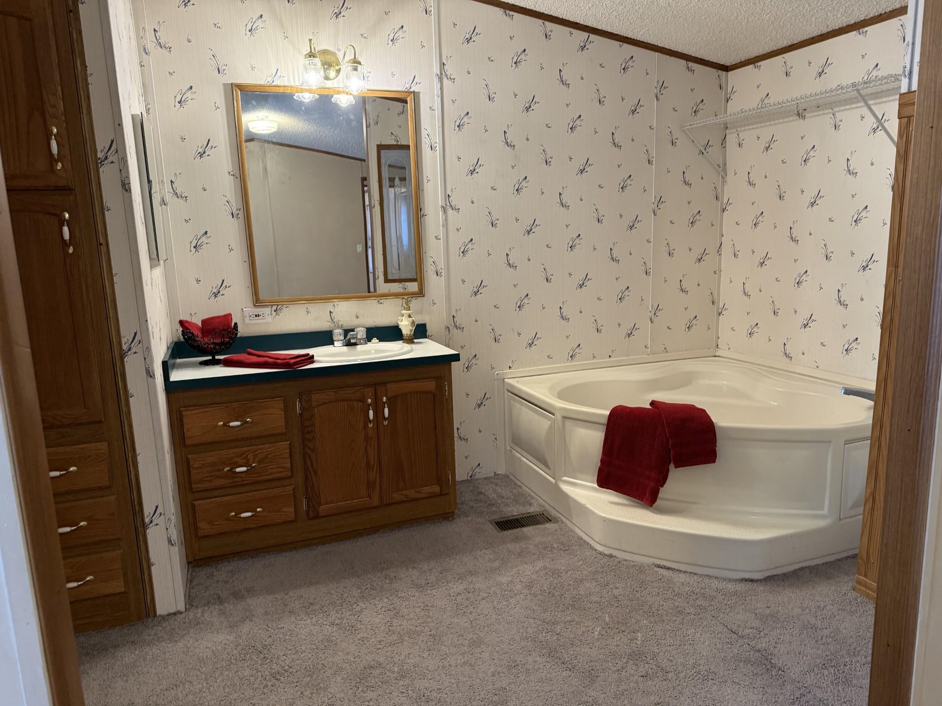 435 32 Road, Unit 227 Clifton, CO 81520 - Photo 14 of 18 a bathroom with a tub sink and mirror