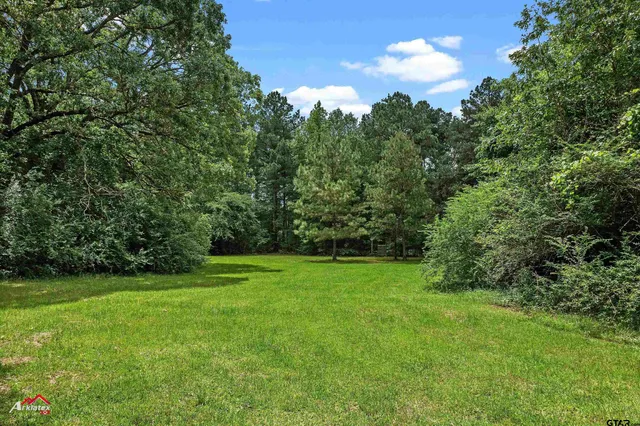 $463,000 | 11028 East Fm 2867, Henderson, TX 75654