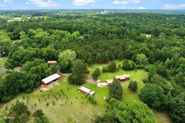 a view of a yard with plants