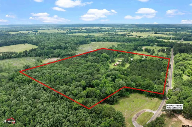 a view of a lush green field