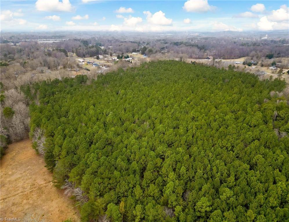 0 Rumbley Pine Street Randleman, NC 27317 - Photo 4 of 10 Gallery Image 4
