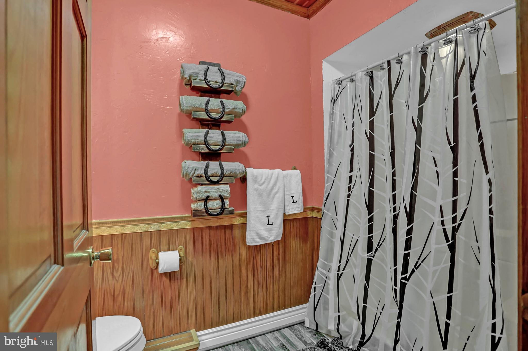 2335 Iron Springs Road Fairfield, PA 17320 - Photo 10 of 41 primary bathroom
