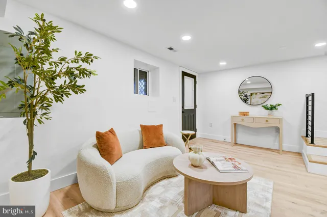 a living room with furniture and a potted plant