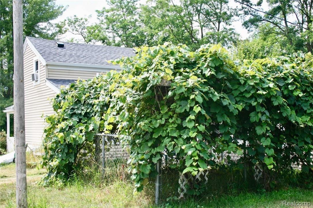 9022 Parshallville Road Fenton, MI 48430 - Photo 13 of 17 Lush grapevines