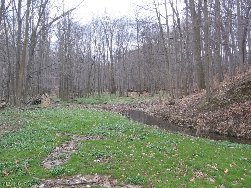 2351 Rockefeller Road Wickliffe, OH 44092 - Photo 20 of 21 Gallery Image 20