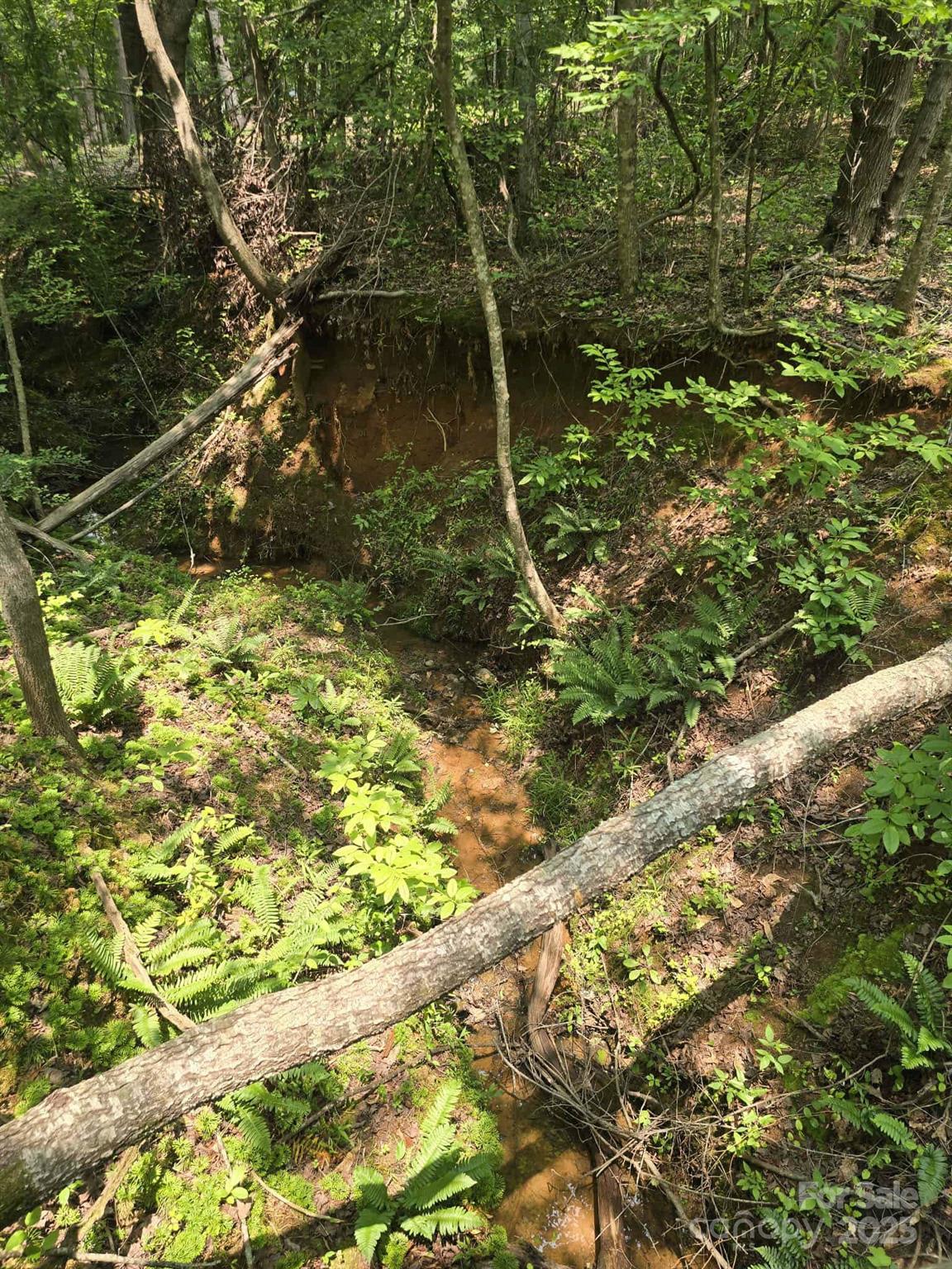Lot 10 State Line Road, Unit 10 Mooresboro, NC 28114 - Photo 4 of 9