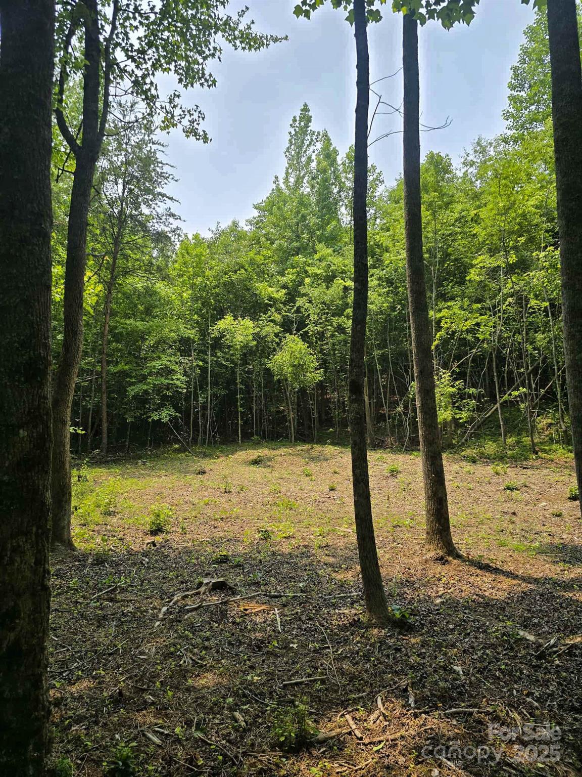 Lot 10 State Line Road, Unit 10 Mooresboro, NC 28114 - Photo 6 of 9