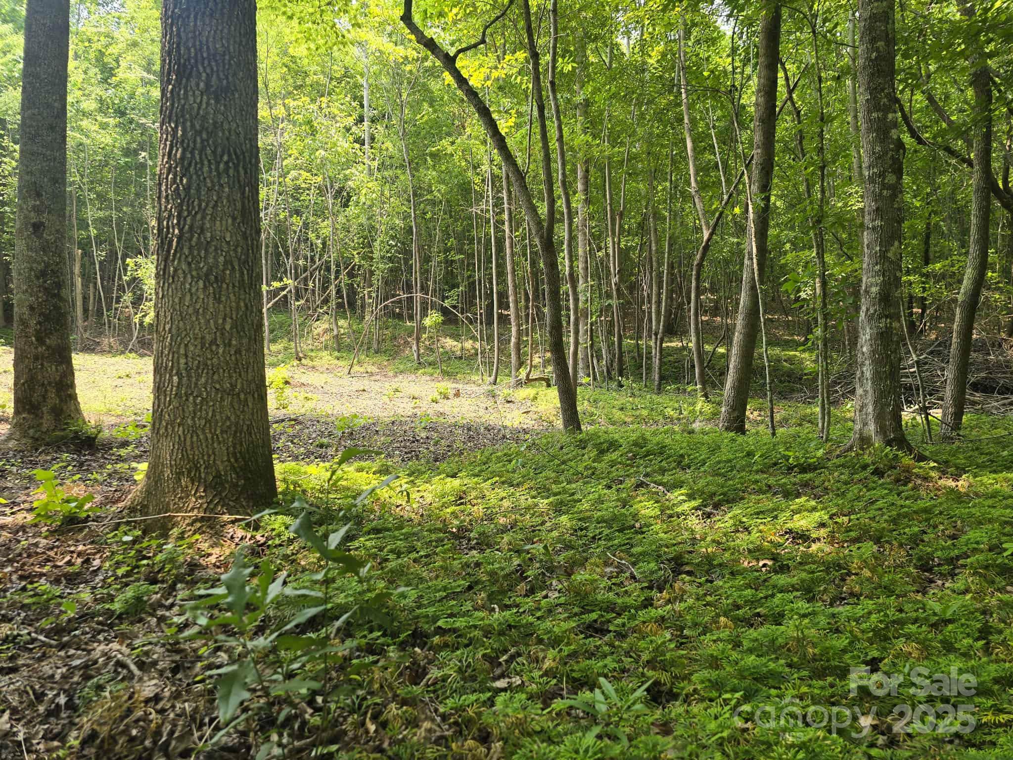 Lot 10 State Line Road, Unit 10 Mooresboro, NC 28114 - Photo 7 of 9