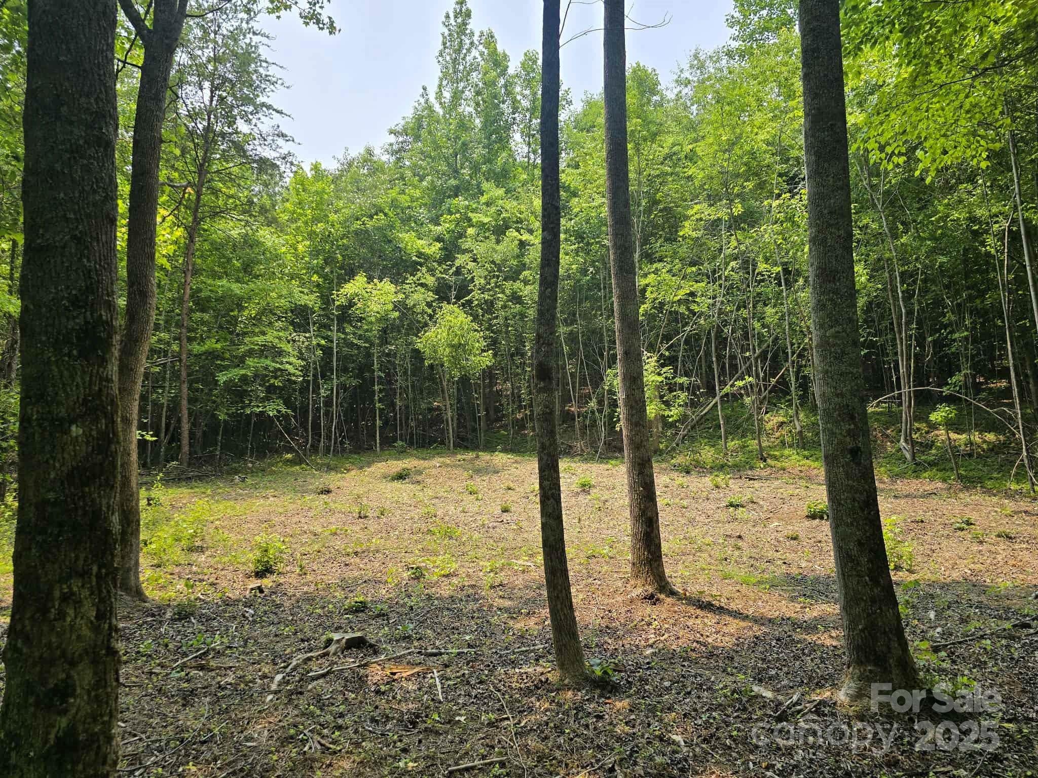 Lot 10 State Line Road, Unit 10 Mooresboro, NC 28114 - Photo 8 of 9