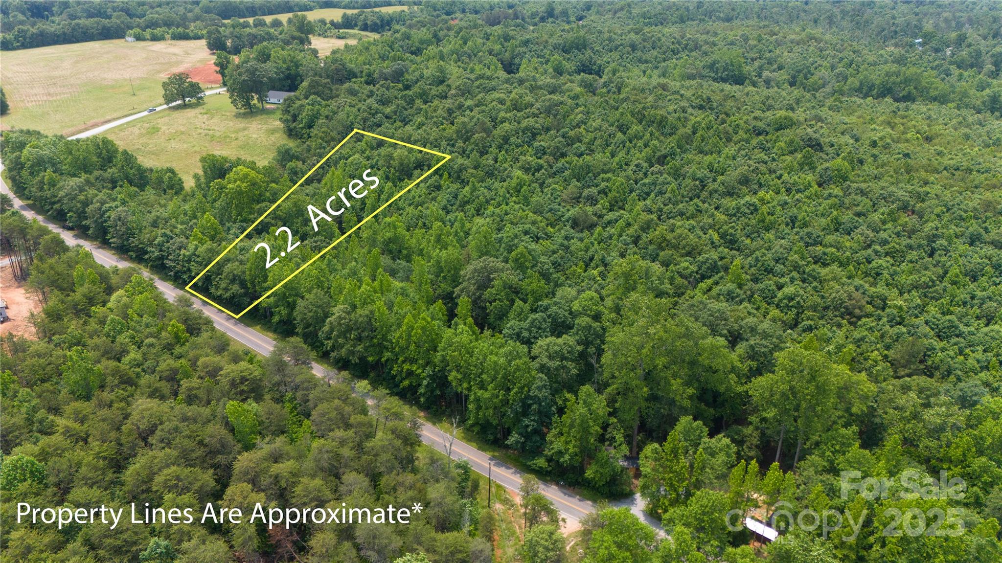 Lot 10 State Line Road, Unit 10 Mooresboro, NC 28114 - Photo 9 of 9