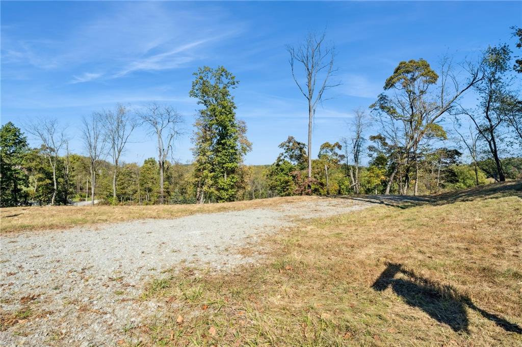 4251 Hilty Road Export, PA 15632 - Photo 11 of 13 a view of a yard with a tree