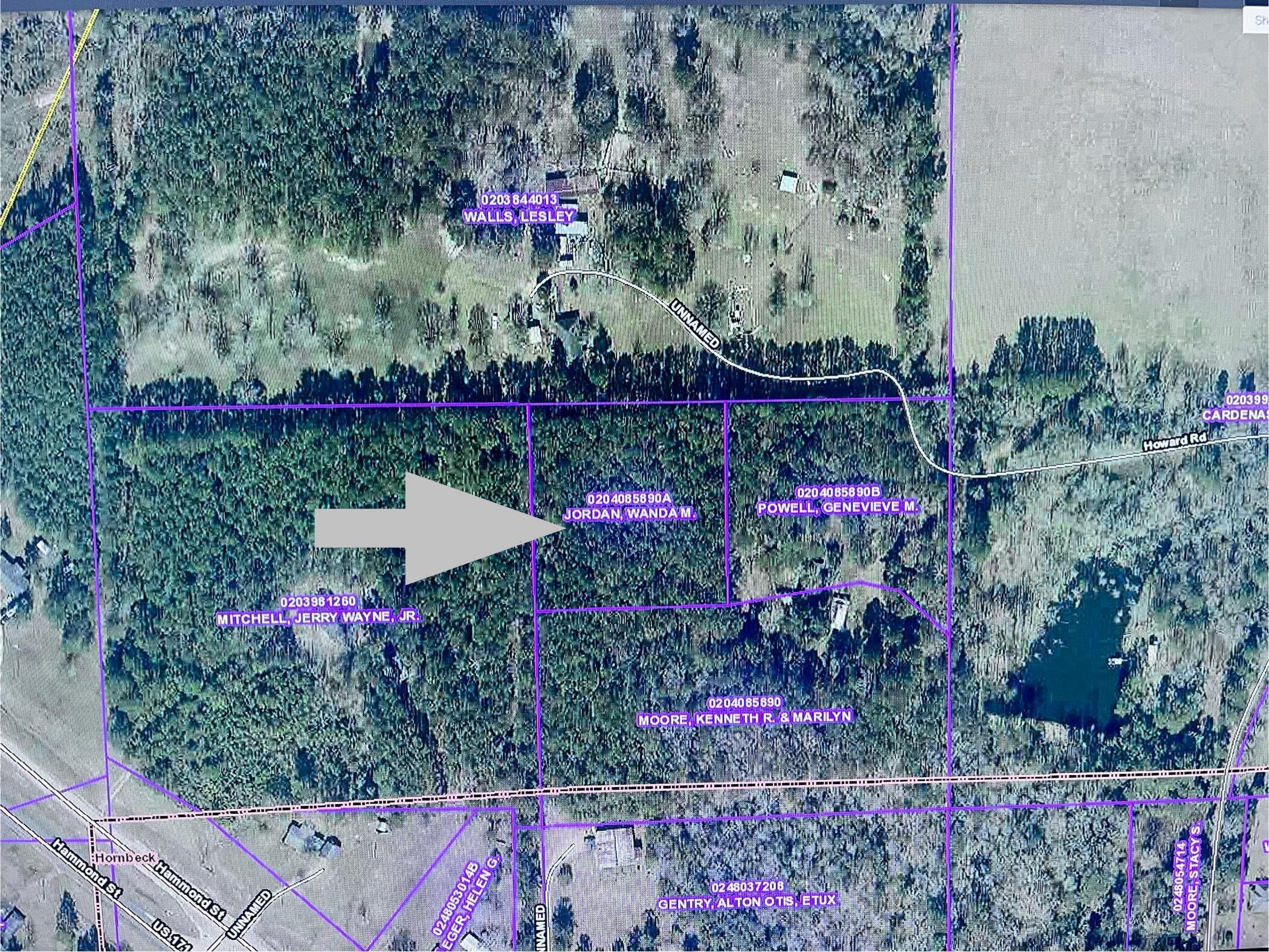 Howard Road Hornbeck, LA 71439 - Photo 1 of 1 Gallery Image 1